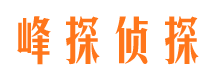 定结市调查公司